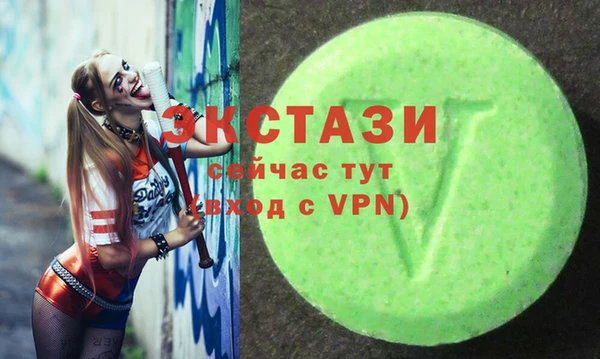 твердый Вяземский