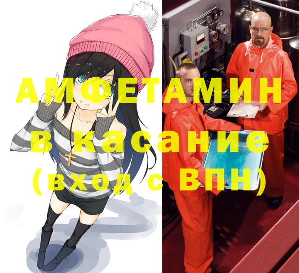 твердый Вяземский